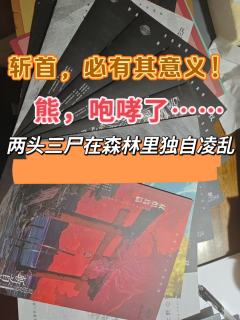 《双炽岛斩首诸因》
      组的整车去玩的，整体体验还不