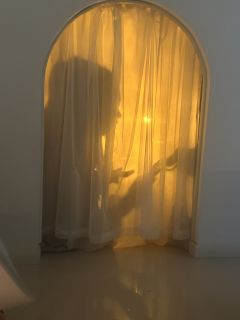 这世界真的会有乌托邦的存在吗?
沈妄还是熟悉的沈妄
寥寥几句