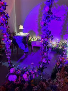 【含剧透】
💐水仙真是一个很神奇的本
它不是纯粹的情感本,