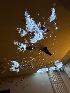 【含剧透】
体验《蟪蛄春秋》|朝菌不知晦朔 ,蟪蛄不知春秋