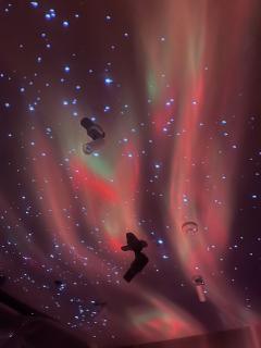 【含剧透】
体验《蟪蛄春秋》|朝菌不知晦朔 ,蟪蛄不知春秋