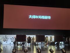 《大师和玛格丽特》一部魔幻现实主义的剧,对于我来说是有点子抽