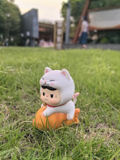 替饱饱拍照的一天