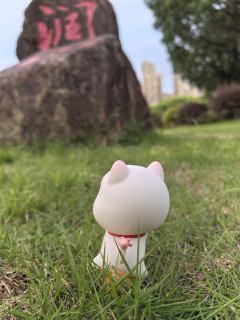 替饱饱拍照的一天