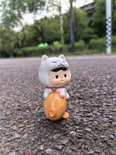 替饱饱拍照的一天