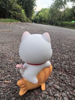 替饱饱拍照的一天