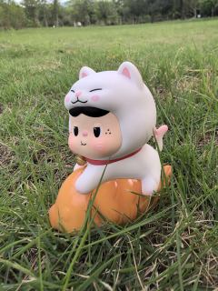 替饱饱拍照的一天