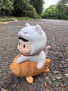 替饱饱拍照的一天