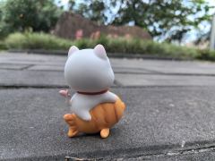 替饱饱拍照的一天