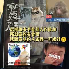 活该的愧疚感,践踏真心的人该吞一万根针😇
🌼剧本类型: