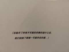『在极尽了所有不可能的伤害的诡计之后,我们找到了那唯一可能存