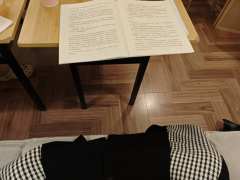 『在极尽了所有不可能的伤害的诡计之后,我们找到了那唯一可能存