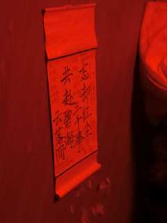 「忘却红尘三千事,共赴碧海云落间」
“姝儿,明年春天桃