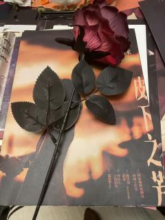 《皮下之芳》--剧本杀版『想见你』
“我就是要他 在往后的