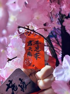 【林思柔，含剧透分割线，请放心食用】
“苍山多歧路，谁识少年