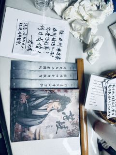 【林思柔，含剧透分割线，请放心食用】
“苍山多歧路，谁识少年