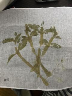 【含剧透】
期待已久的万仞终于落地了～作为一个非常吃24黑衣