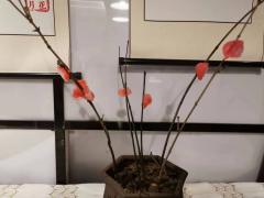 【含剧透】
期待已久的万仞终于落地了～作为一个非常吃24黑衣