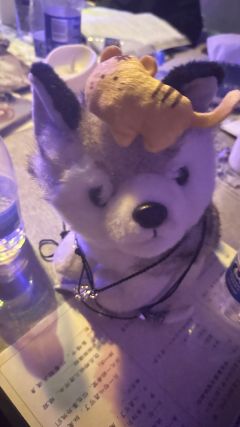 要死，也要死在自己英勇的抉择里
“莲城郡主永远会做正确的事”