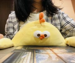 【含剧透】

📖《小泉先生的点灯会》之大公鸡上学记
🕹杭