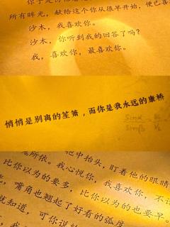 悄悄是别离的笙箫,而你,是我永远的康桥。
剧本:《烟云南渡》