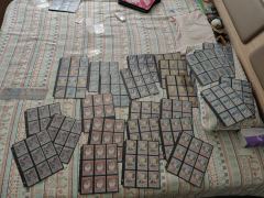 难得周末有时间，整理一下没入册的趣影1弹黑背。不知不觉没入册