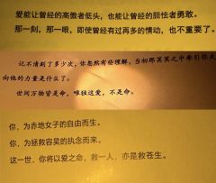 「我无法恨你，无法停止爱你」
🧊剧名：苍兰诀
🧊人数：3