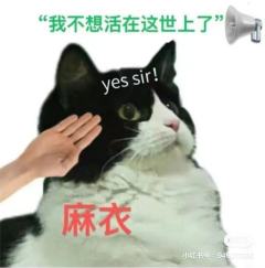 六一当够了小朋友,那来当变态吧桀桀桀
猫岛是我打过的最好玩的