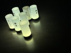 白昼救赎的倒影,长夜相认的魂灵。
我想我成为了他,其实她成