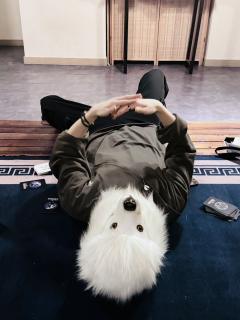 余地？你们给过它们余地吗？

类型：末世 欢乐 中式 热血 