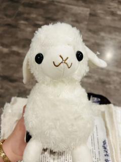 小羊崽们，准备好跟我一起玩游戏了吗！！！


🌞喜羊羊 美