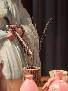 人间自有浩然气 万仞青山听水寒
终于等到九州续作,和九州