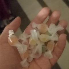 夜阑鬼塔测评
角色：紫衣女子（全世界最最最最最幸福的鬼公主）