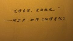 “爱生于纽带,不死不休”
角色:裴晚
时长:7H
标签:现