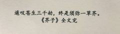 「遥叹苍生三千劫,终是须弥一草芥」
📚剧本名称:芥子:须