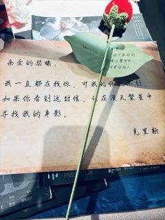 【✨千禧,含剧透分割线,请放心食用】
“我想要找一个人,他藏