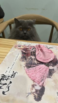 【含剧透】愿君惜春知我意 常欢愉

体验剧本 春深不知处
体