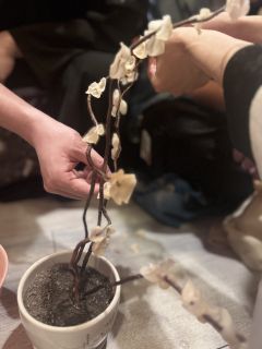【含剧透】
谢泠本身算一个玩过的很喜欢的全线开花的角色,这次
