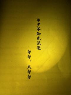 【含剧透】
雷点多适配度低但真好玩！找回圆桌剧本的乐趣，玩家