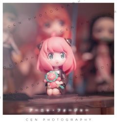 初见阿尼亚