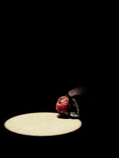 
『胆小鬼』 —— 極推理学院

🎬感谢各位乙方宏阳制片厂