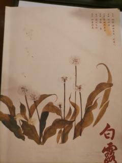 【含剧透】
“我来这人世一遭，离家时的每一步，都是归途。”
