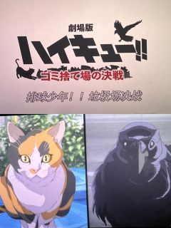 看到中间小太阳被打压的那里真的很心疼,成长真的就如抽筋剥骨般