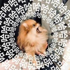 避雷指南👉🏻但多说一个字都怕会透吖
🏷️时长:6h-
