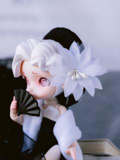新品速报 | LAURA 黑白光谱可动人偶即将上线
黑白