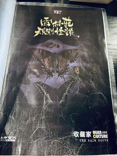 【🍃雨林苑,无剧透,请放心食用】
“你是遵守还是打破规则❓