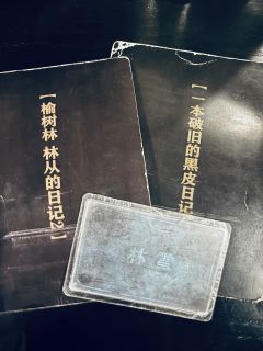 【🍃雨林苑,无剧透,请放心食用】
“你是遵守还是打破规则❓