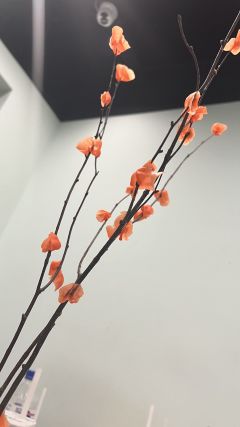 【含剧透】“嗯 是啊 我喜欢你 无双 我只想做李知行”

体