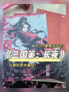 《三国策：长夜》｜砍刀➕重策双开花

推荐指数：🌟🌟🌟