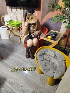 📖本名：《巧夺天工·默剧师》
🎬类型：还原/推理/诡计